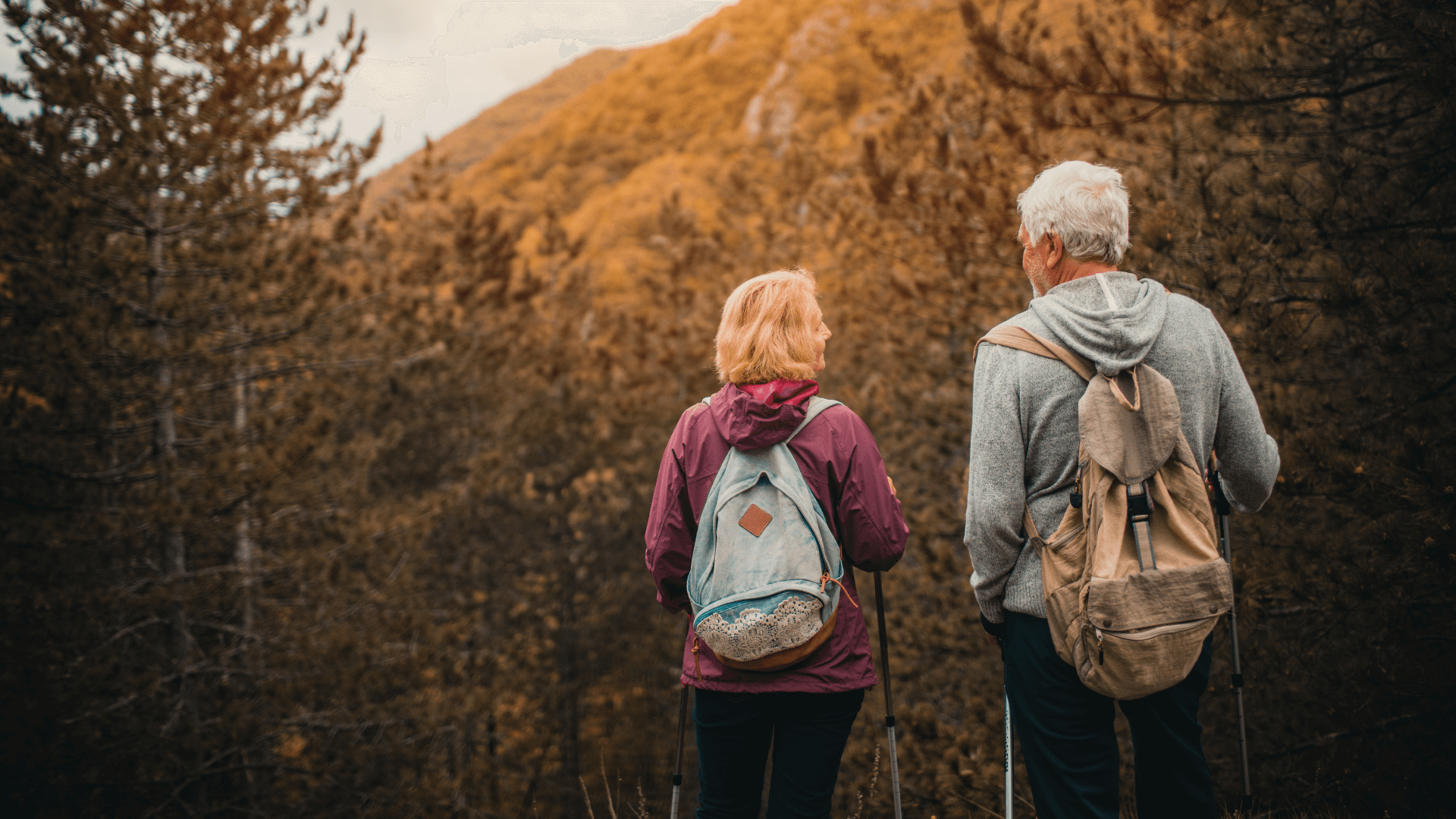 Zwei ältere Menschen wandern in einem herbstlichen Wald.